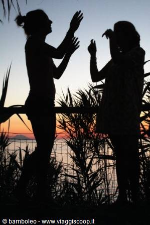 Two women silhouetted play with their hands among plants by the sea at dusk