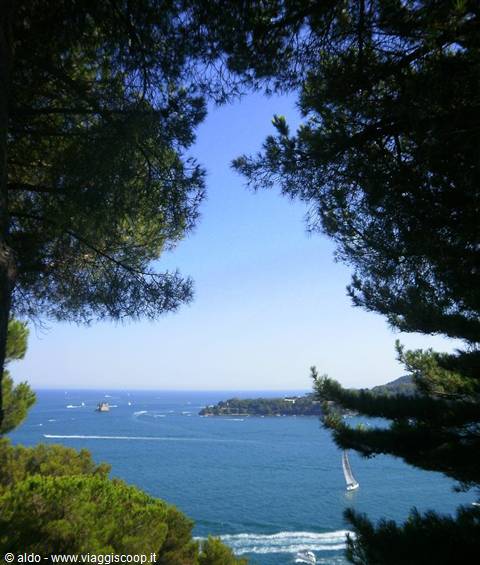 Gulf of Portovenere