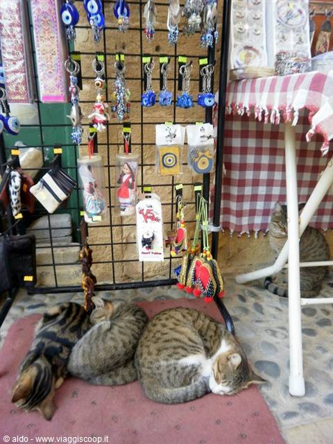 Nicosia Turkish part
