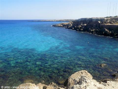Cape Greko