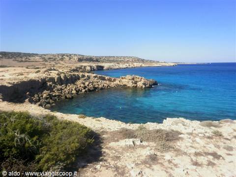 Cape Greko