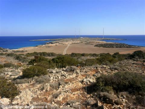Cape Greko