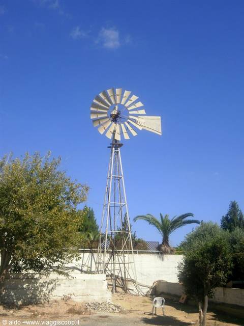windmills