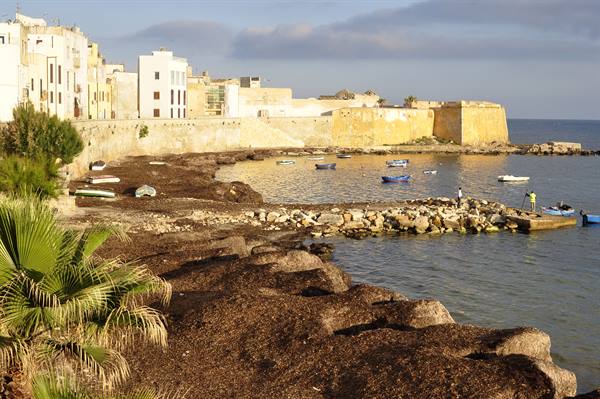 Trapani at dawn