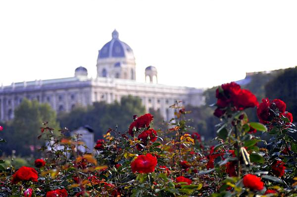 National Library
