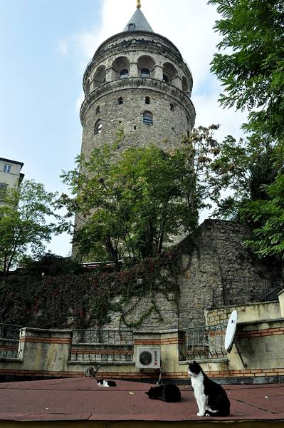 Galata Tower