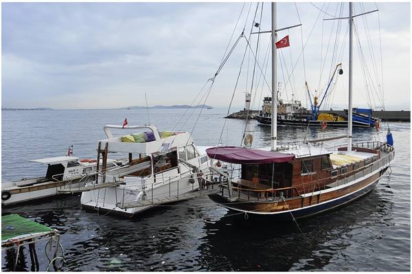 the harbour