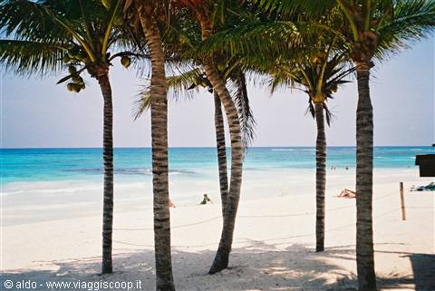 Playa del Carmen