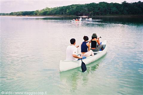 Canoeing in the forest