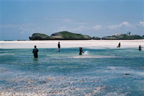 Watamu