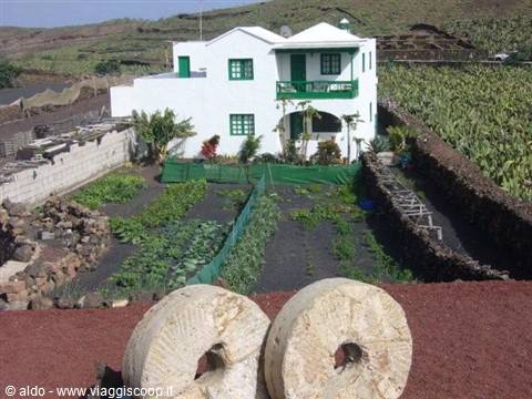 Winegrower