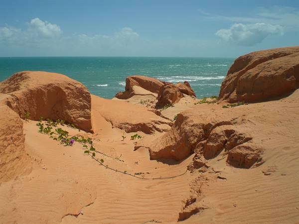 View from the cliff