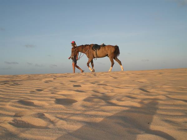the dunes around canoa