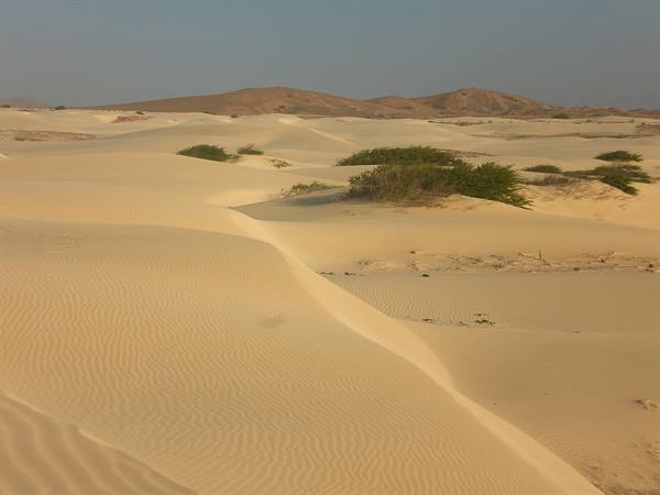Deserto De Viana