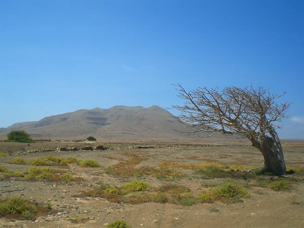 Pico Estancia