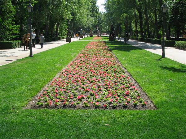 Madrid Park