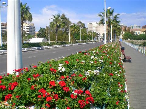 Bridge of Flowers