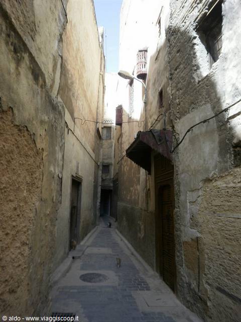 medina street