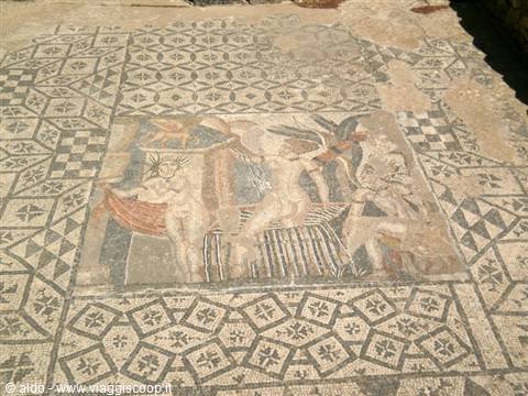 volubilis mosaics