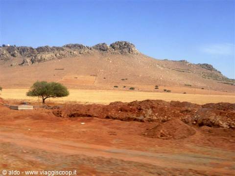 landscape for Essaouira
