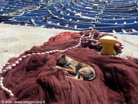 sweet rest