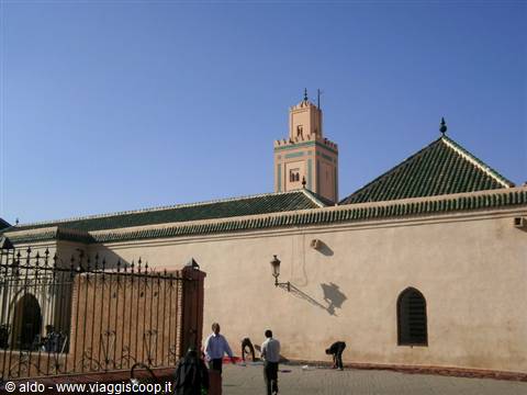 Madrassa