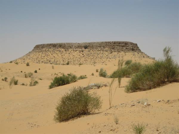 Rocky plateau in the desert, golden sand and green shrubs under clear sky