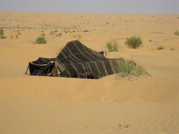 Black nomad tent half-buried among sand dunes and desert bushes
