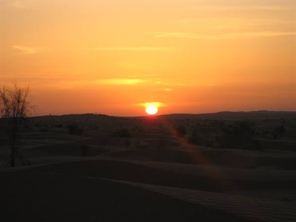 Low sun glowing over sand dunes, bushes and a silhouetted tree