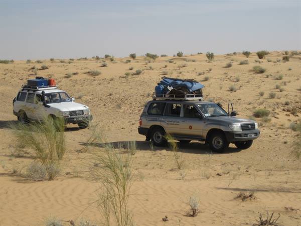 Two Toyota four-wheel drives loaded with luggage drive through sandy desert shrubs