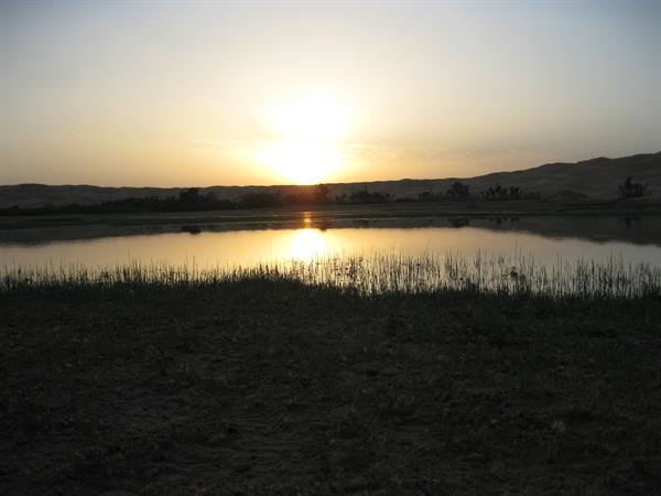 Low sun reflecting on a calm lake surrounded by dunes and reeds