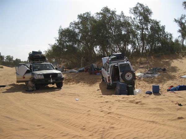 Two loaded 4x4 vehicles parked on sand among trees and jerrycans