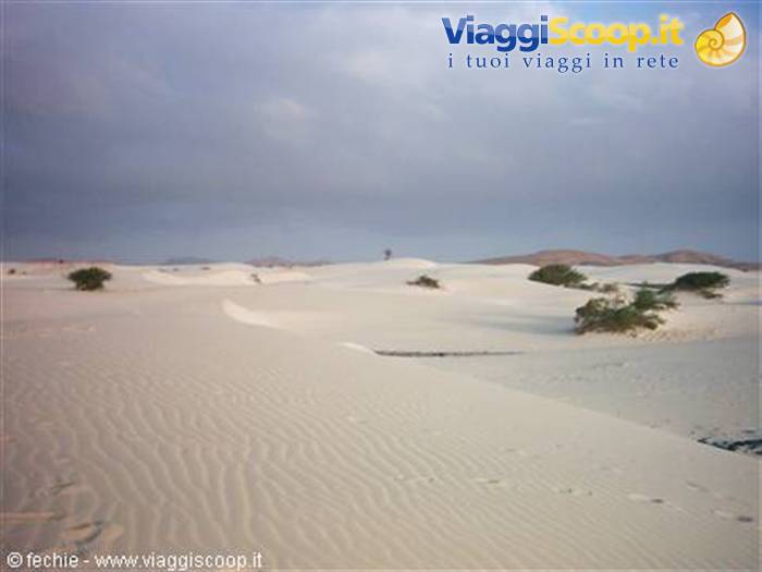 Viana Desert
