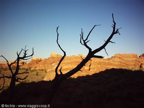 Arches NP