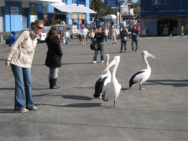 The fish market of Sydney