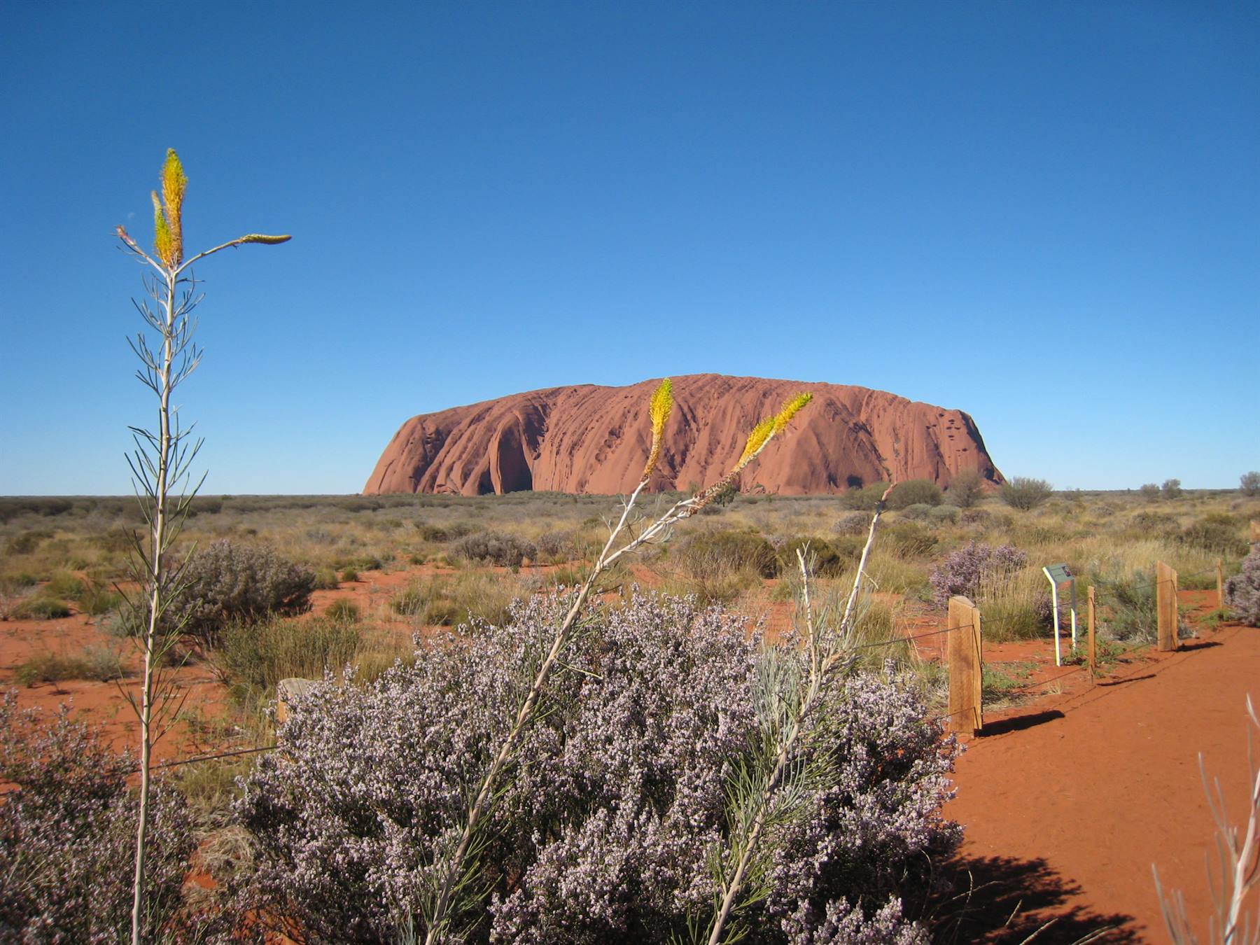 Uluru from Sunset Point
