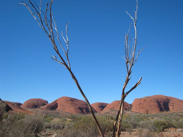Kata Tjuta from the valley of the winds
