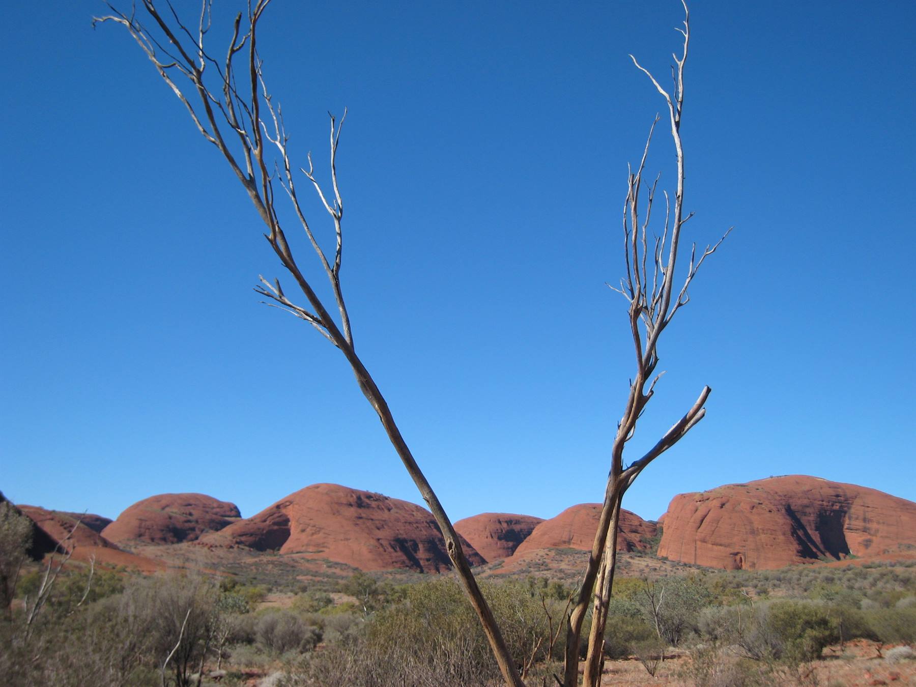 Kata Tjuta from the valley of the winds