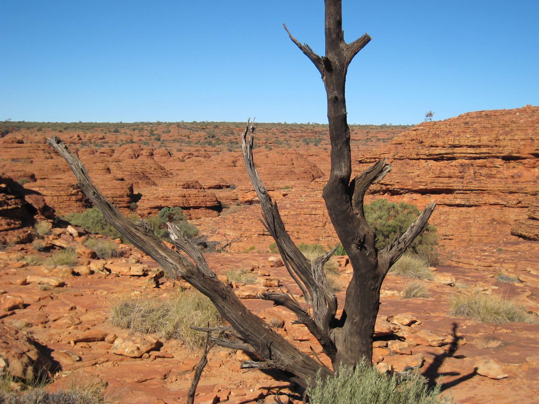 Kings Canyon