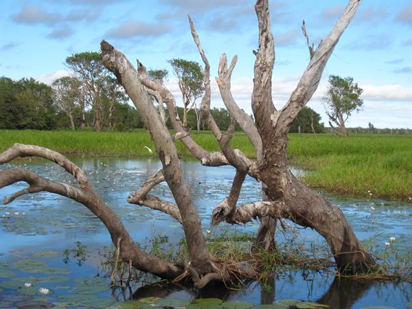 East Alligator River in Kakadu