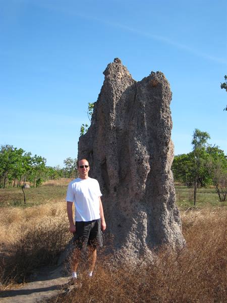 Termite mound in Kakadu