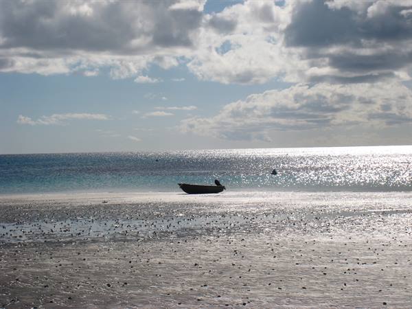 Low tide on Lizard Island