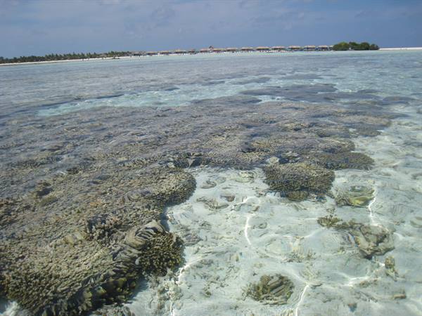 The sea in the lagoon