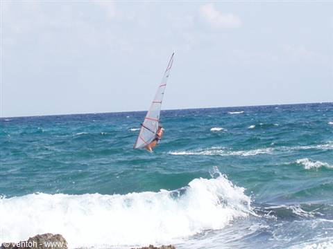 Windy day devoted to windsurfing