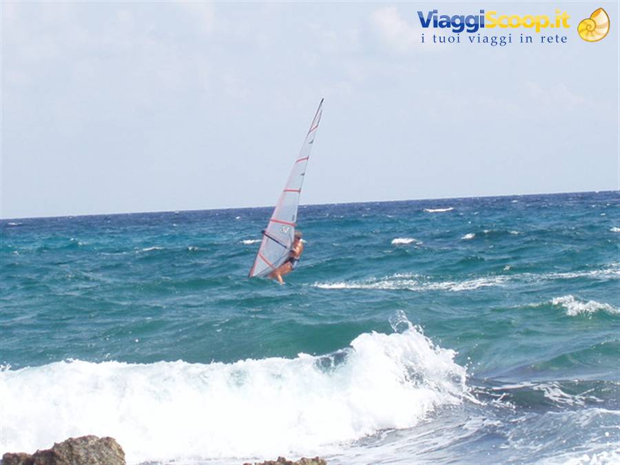 Windy day devoted to windsurfing