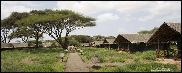Amboseli - the Kibo Safari Camp 2