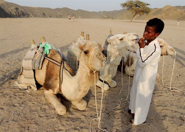 Jeep Safari - The Bedouins