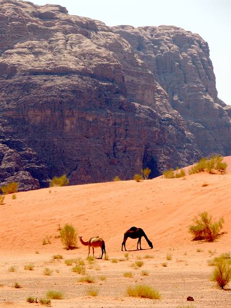 The Wadi Rum desert