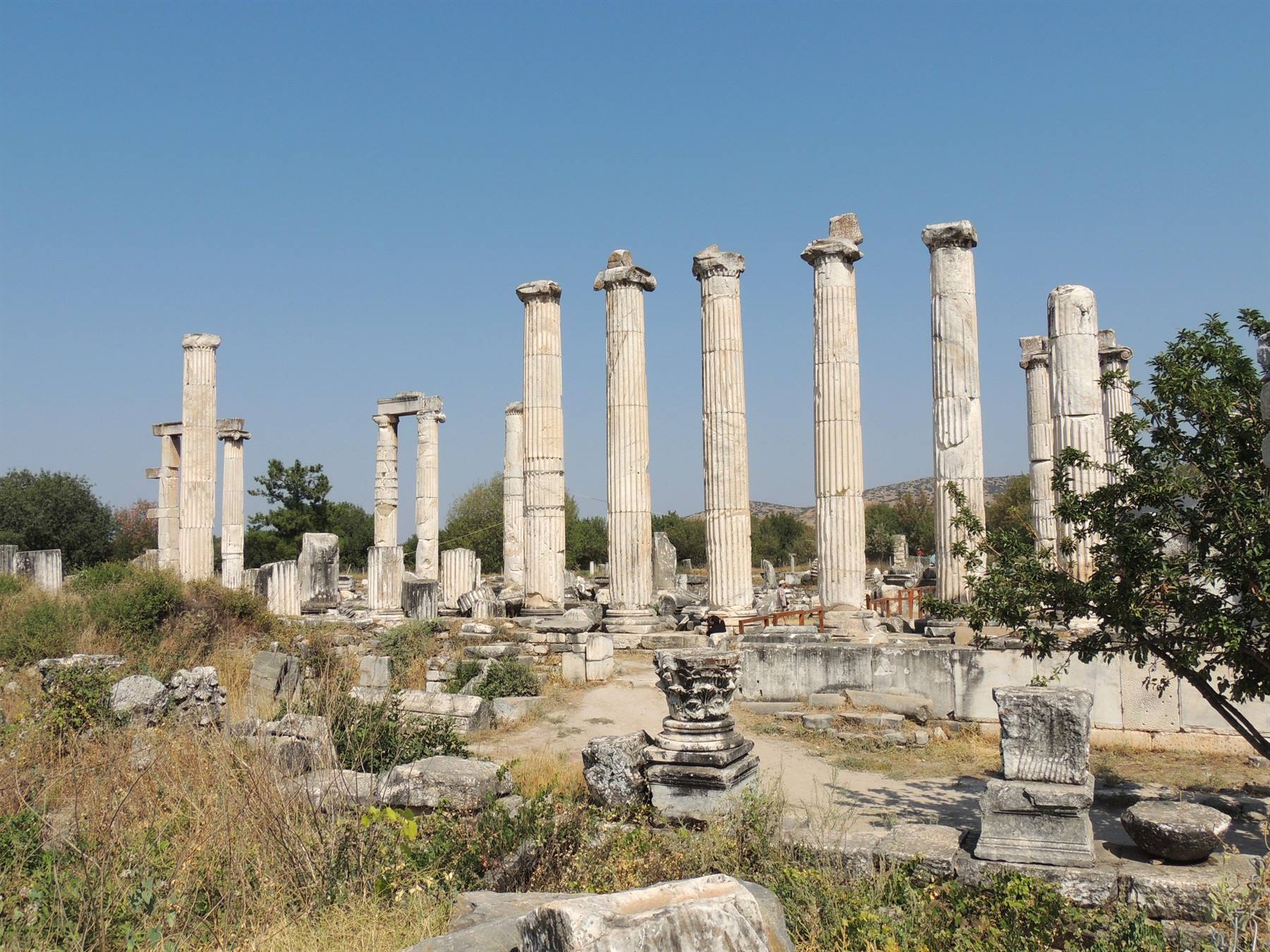 Aphrodisia - il Tempio di Afrodite