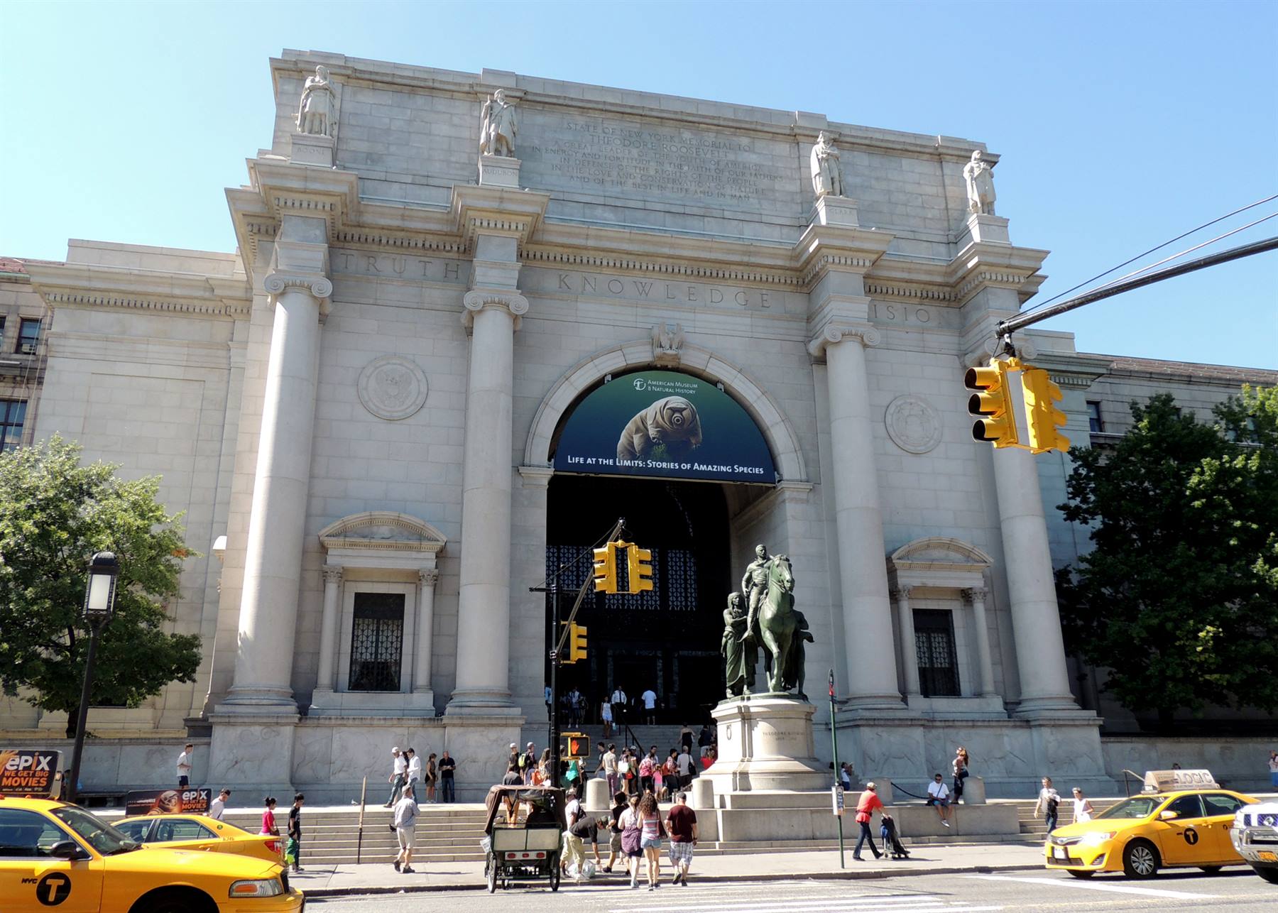 American Museum of Natural History